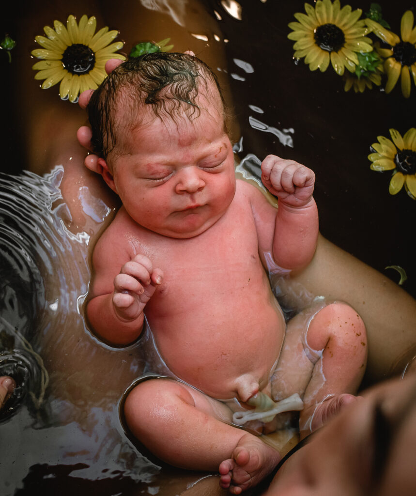 Mother gently lowering newborn into warm herbal bath with floating sunflowers after home birth