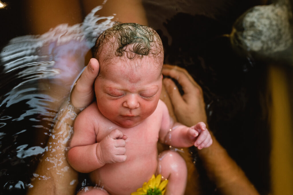 Newborn resting in warm herbal bath after home birth, sunflower floating beside baby